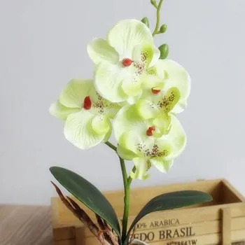 Simulering Blomster Lyst Til Fire Butterfly Orchid Kødfulde Plante Bonsai Blomsterbinding Tilbehør F2 110435