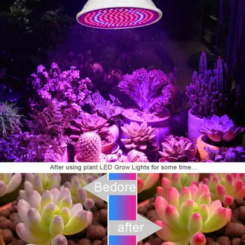 LED 2835 Plant Grow Light Led Plante, der Vokser Lampe For Plante Blomster Indendørs Planter, Frugter, Blomster Gro Lys