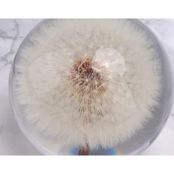 Real Mælkebøtte Krystal Glas Harpiks Linse Bolden 90mm Naturlige Planter Prøve Feng Shui Blomster Jul Kærlighed Gave Home Decor Kloden 15433