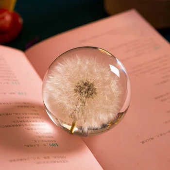 Real Mælkebøtte Krystal Glas Harpiks Linse Bolden 90mm Naturlige Planter Prøve Feng Shui Blomster Jul Kærlighed Gave Home Decor Kloden