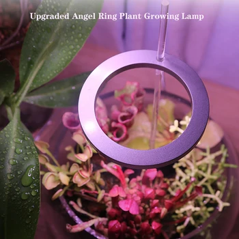 5V USB Vokse Lys med Timer Fulde Spektrum Phytolamp for Planter Blomst, Frø, Plante Vokse Lampe til Indendørs Plante, Kødfulde Udfylde Lys