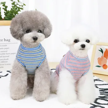 Stribe Hund Tøj Vest Simple Hunde Tøj Fashion Forår Sommer Chihuahua Farverige Pet Coutume Trendy Bløde Ropa Para Perro 157694