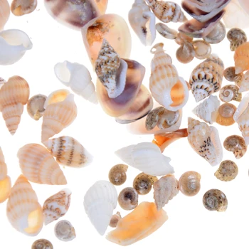 40Pcs/pose 1:12 Mini Miniature dukkehus Sea Shell Bonsai Lanscape DIY Indretning Dukker Tilbehør til Haven 162197