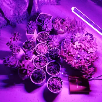 5V 10W 21LED USB LED planternes Vækst Lampe Fuld Spektret Lys Til Hydroponics Drivhus Rød/Blå Lys Plante, Blomst, der Vokser 163986