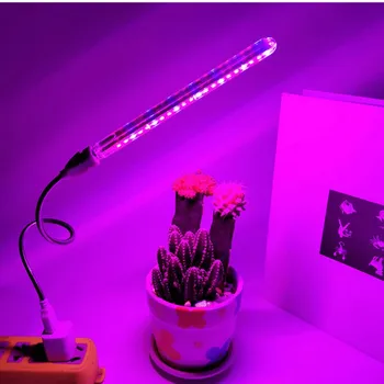 5V 10W 21LED USB LED planternes Vækst Lampe Fuld Spektret Lys Til Hydroponics Drivhus Rød/Blå Lys Plante, Blomst, der Vokser