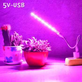 5V 10W 21LED USB LED planternes Vækst Lampe Fuld Spektret Lys Til Hydroponics Drivhus Rød/Blå Lys Plante, Blomst, der Vokser