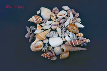 20/30/50 stk 1 Pose Masse Sjove Blandet Muslingeskaller Shell Håndværk Akvarium Nautiske Indretning Ornamenter naturlige mini conch hjem de