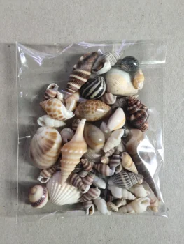 20/30/50 stk 1 Pose Masse Sjove Blandet Muslingeskaller Shell Håndværk Akvarium Nautiske Indretning Ornamenter naturlige mini conch hjem de