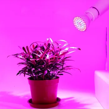 80 LED Led vækst Lys anlæg phyto pærer Vækst Lys E27 Phytolamp Fulde Spektrum Indendørs blomst Belysning Hydroponiske Telt