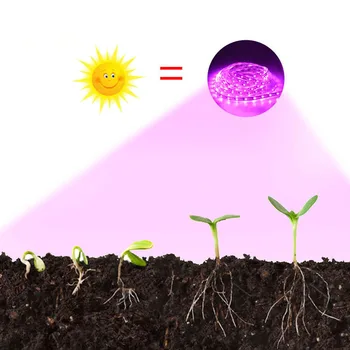 LED plantevækst Lys Stribe dc 5 v 3-5M Fulde Spektrum USB-Interface Vandtæt Plante Lys til At Fremme Vækst For Indendørs Beplantning 184013