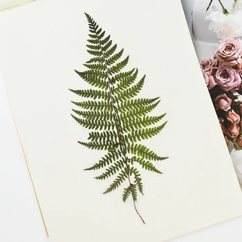 6stk/pack Vintage Retro Grønne Planter, Blomster Dagbog Papirvarer Album Mærkat Tidende Dekorative Sticker DIY Bryllup Scrapbooking