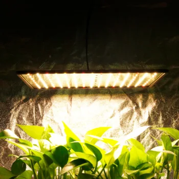 Indendørs Led-1000W 225LED Grow Light Panel Full Spectrum Phyto-Lampe Til Blomster Lampe For Planter Varm Hvid Leds Fitolamp Vokse Telt