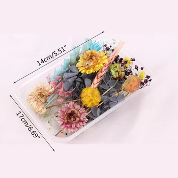 T84A 1 pakke Tørrede Blomster UV-Resin Dekorative, Naturlige Blomster Stickers 3D Tør Skønhed Decal Epoxy Skimmel DIY Påfyldning af at Gøre Håndværk