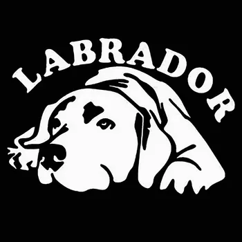 Kreative Dyr Interessant Bil Mærkat Søde Labrador Hund karrosseri Decal Motorcykel Vandtæt Tilbehør Kk17*7cm 67671