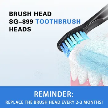 Elektrisk Tandbørste Hoveder Antibakteriel Automatisk Tandbørste Hoveder For SEAGO 949/507/610/659 Elektrisk Tandbørste 7838