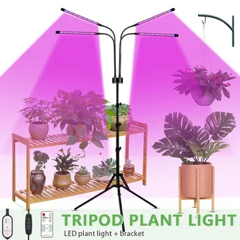 LED vækst Lys 40W 80W plantevækst Fuldt Spektrum Lys Til Indendørs sætteplante VEG blomst plante lampe 5V USB Med Beslag Rød Blå
